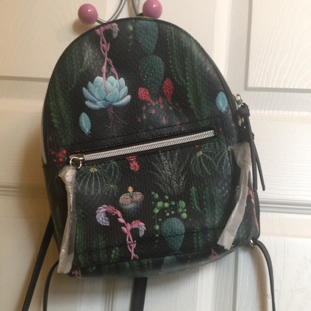 Cactus set